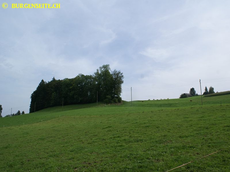 Ruine Festi (Bennewil)
