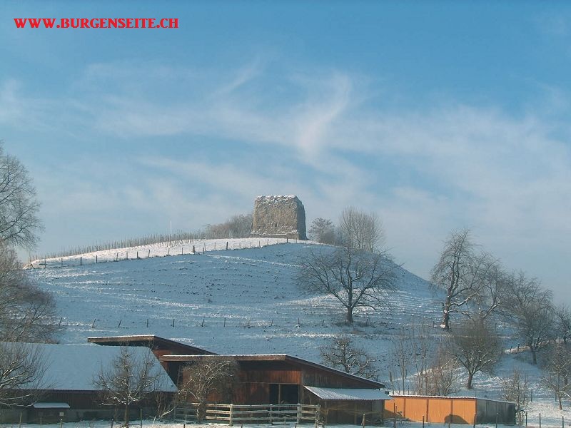 Ruine Freienstein