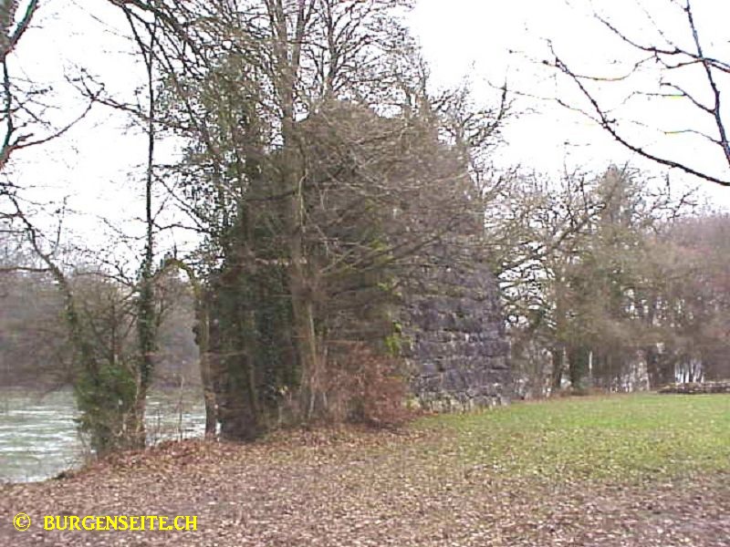 Ruine Freudenau