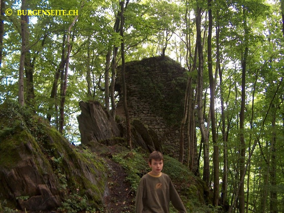 Ruine Frischenberg