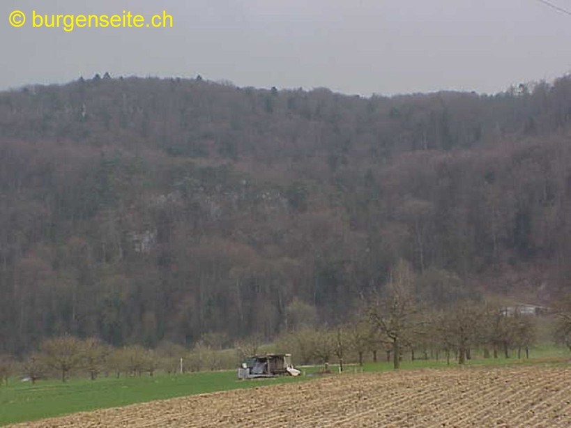 Ruine Fürstenstein