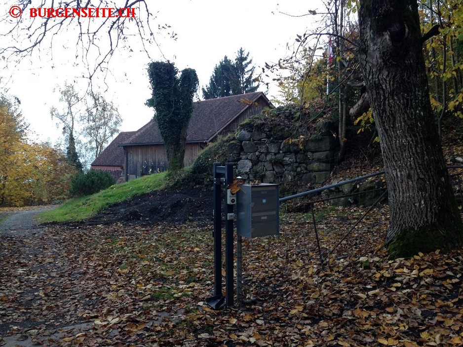 Ruine Gams
