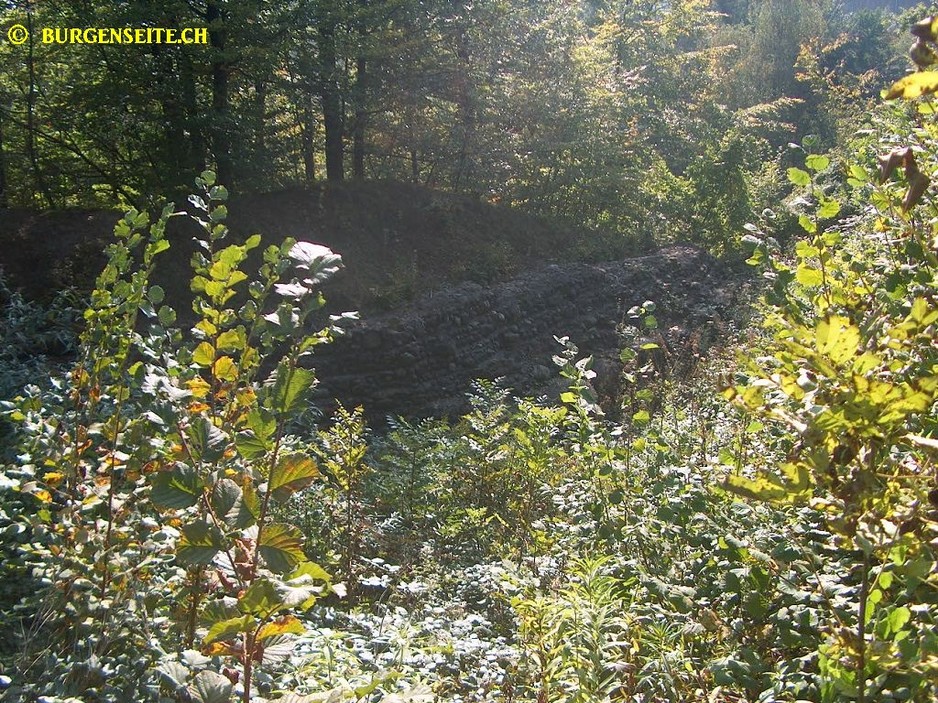Ruine Glanzenberg
