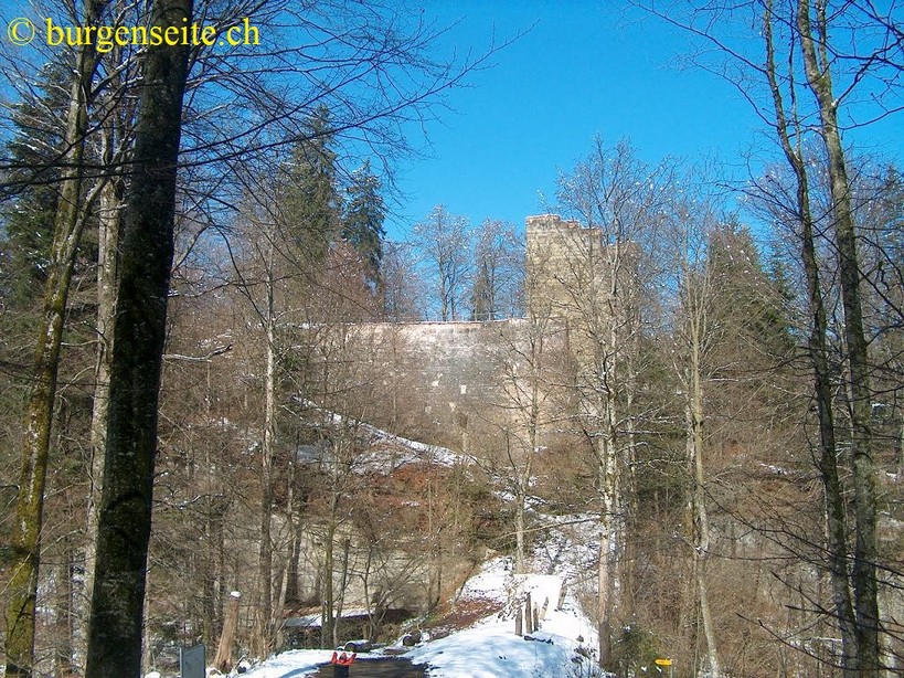 Ruine Grasburg