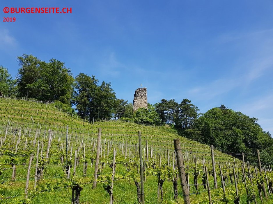 Ruine Grimmenstein