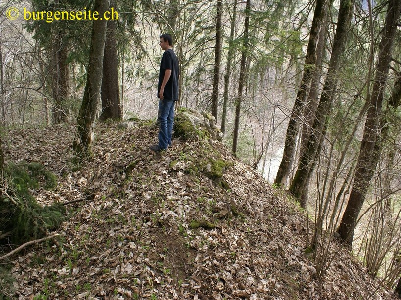 Ruine Heidenmauer