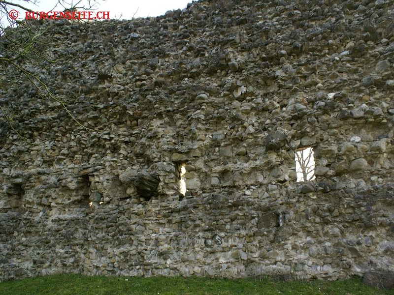 Ruine Helfenberg