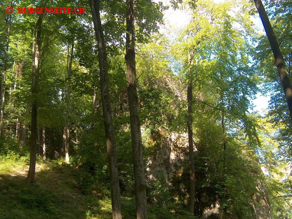 Ruine-Hilzenstein–10- Ruine Hülzistein