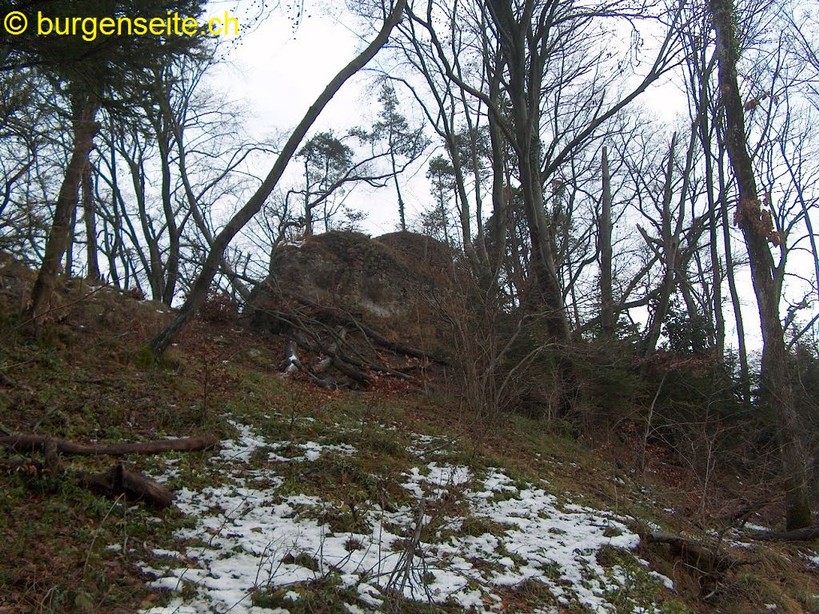 Ruine Birseck Mittlere, südlich