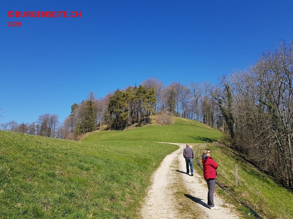 Ruine-Hochlandenberg—1- Burghügel Hohenlandenberg