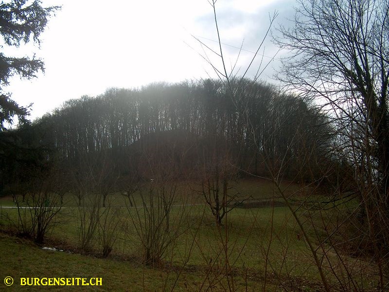 Ruine-Horen,-Rosenberg–6- Ruine Horen