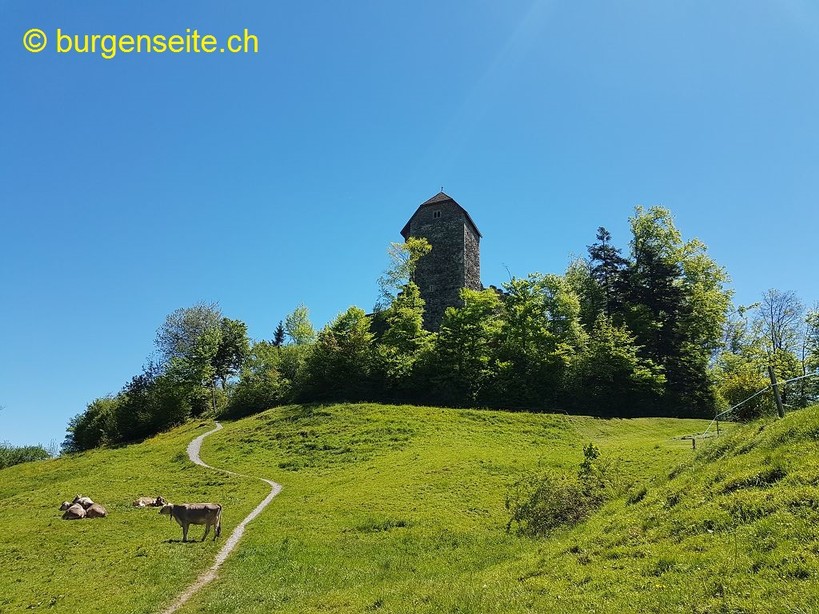 Burg Iberg