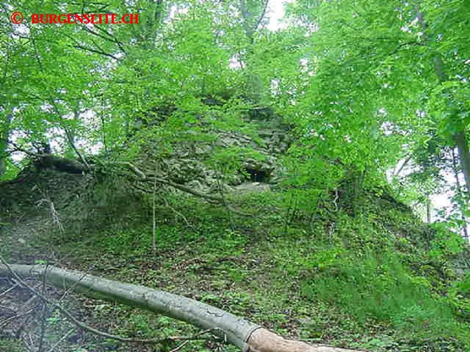 Ruine Kienberg