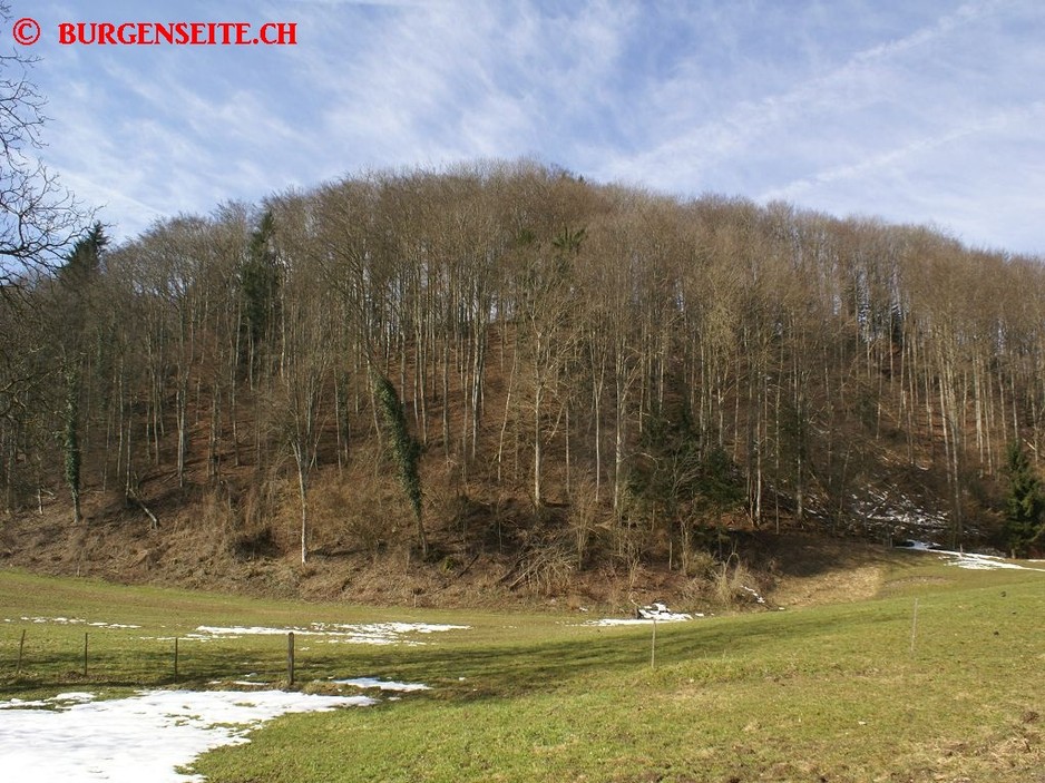 Ruine Kindhausen