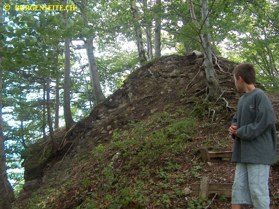 Ruine La Roche