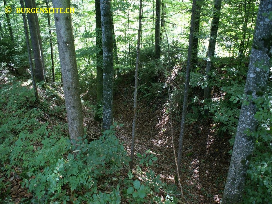 Ruine Lämmerwies