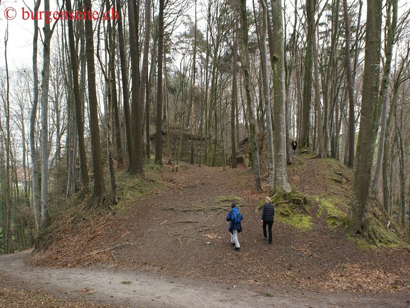 Ruine Langenstein
