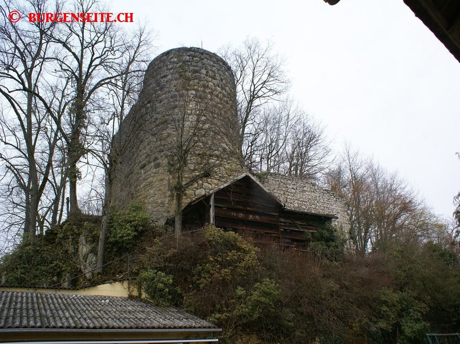 Ruine Liebenstein