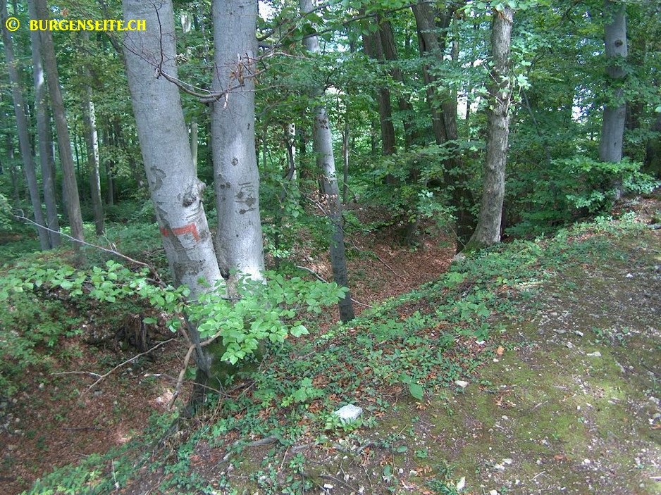 Ruine-Madeln–8- Ruine Madeln