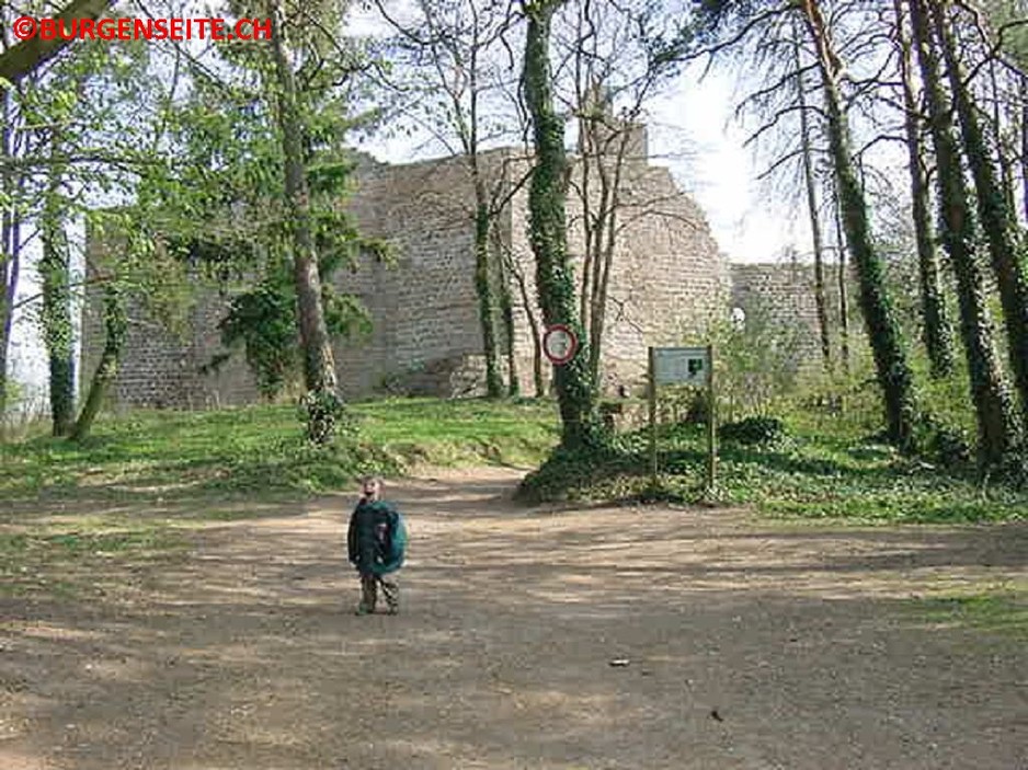 Ruine Madenburg