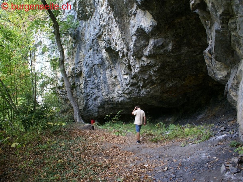 Ruine-Meiringen–1- Ruine Meiringen, Balm