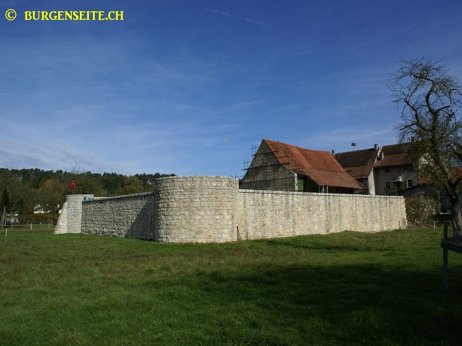 Ruine-Miecourt–4- Ruine Miécourt