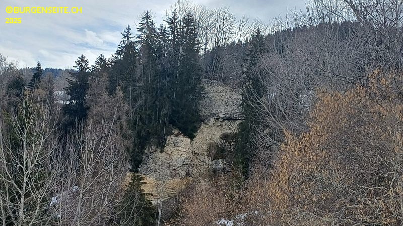 Ruine Moregg