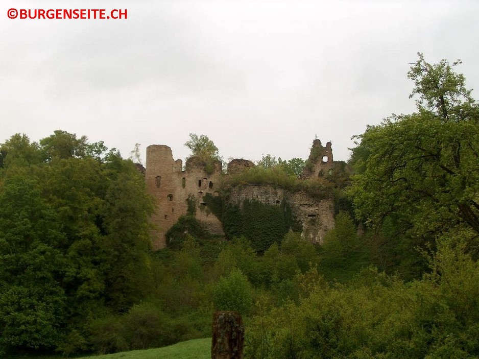 Ruine Morimont