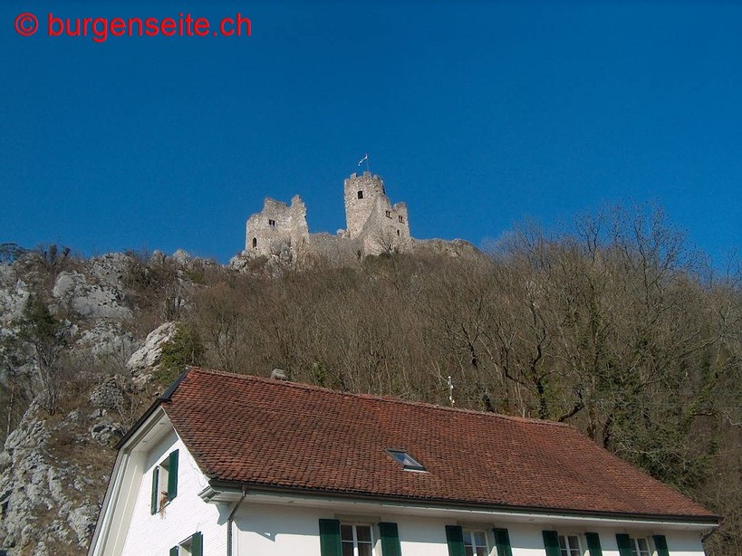 Ruine-Neu-Falkenstein–1- Ruine Neu Falkenstein