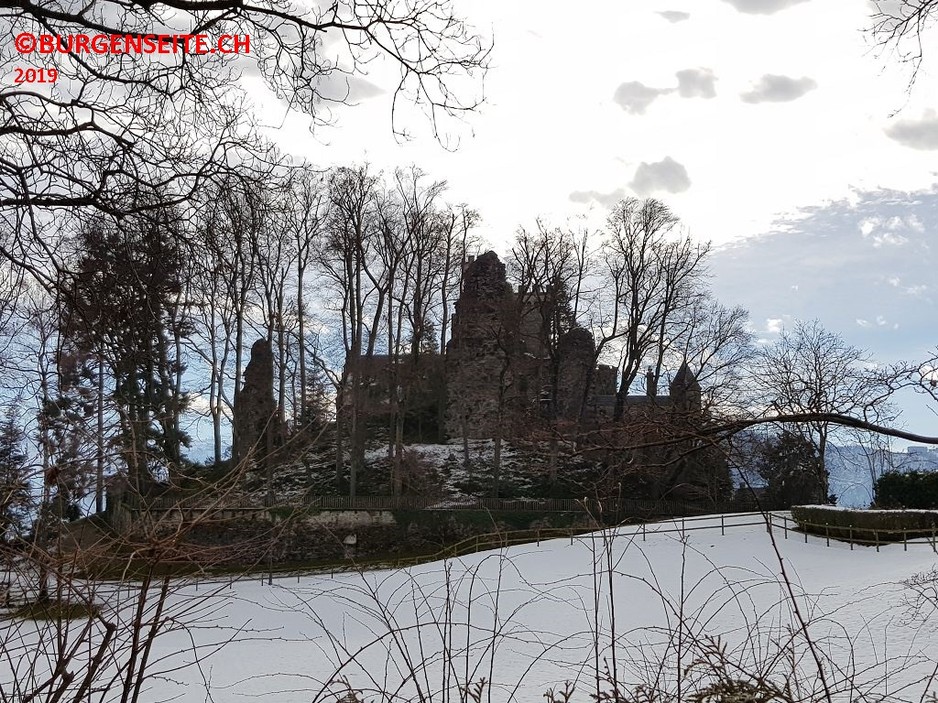 Ruine Neu Habsburg