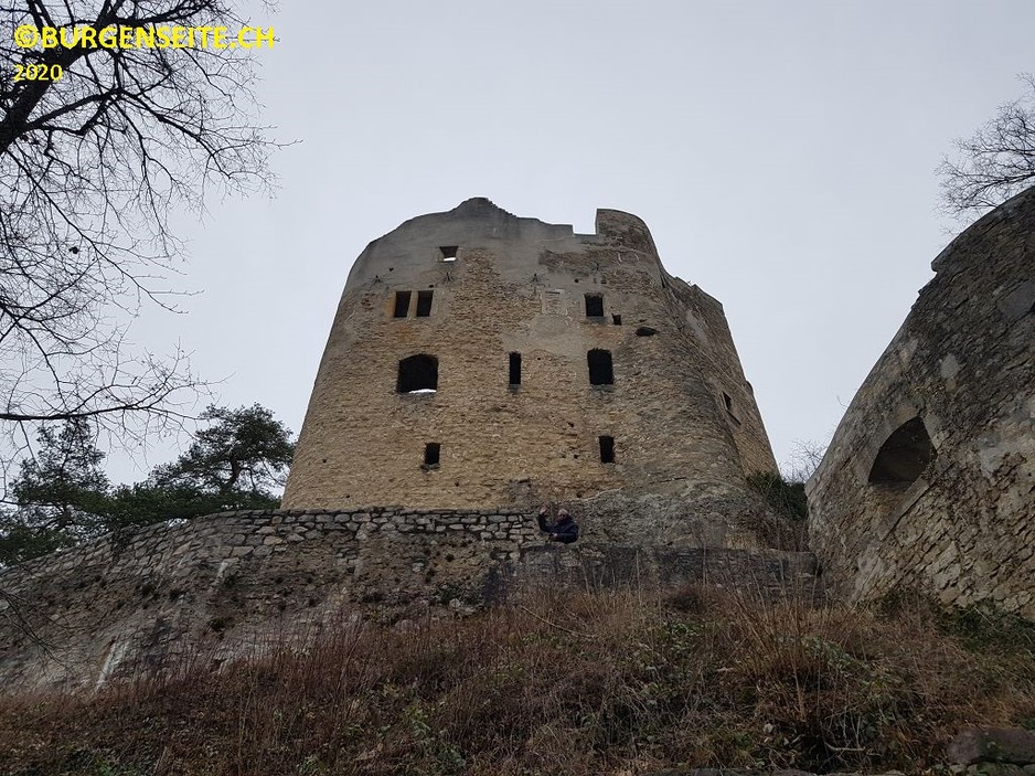 Ruine Neu Homberg