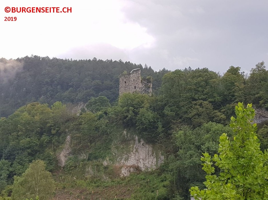 Ruine-Neu-Montfort–1- Ruine Neu Montfort