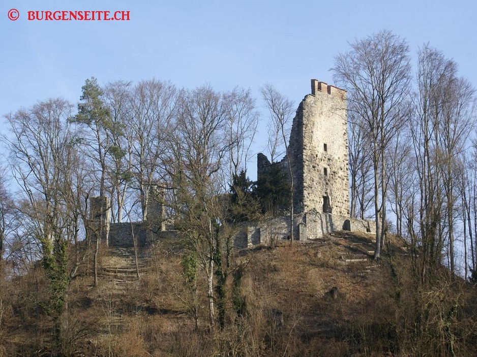 Ruine-Neuburg–16- Ruine Neuburg