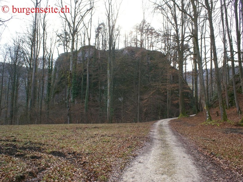 Ruine Neuenstein