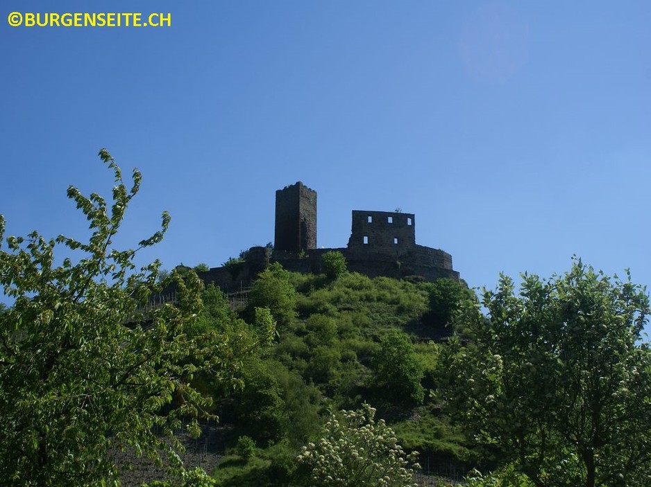 Ruine Niederburg