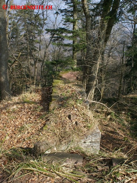 Ruine-Oedenburg–11- Ruine Oedenburg