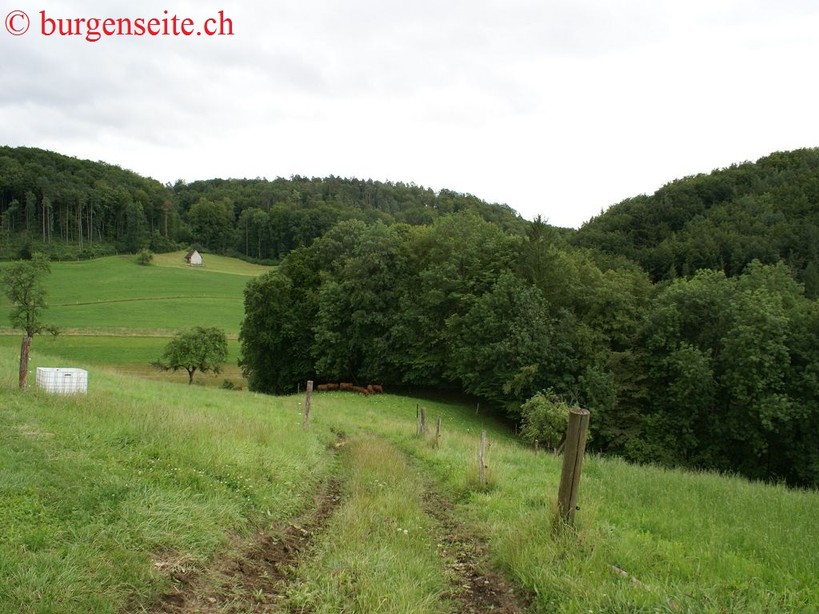 Ruine Ramlinsburg
