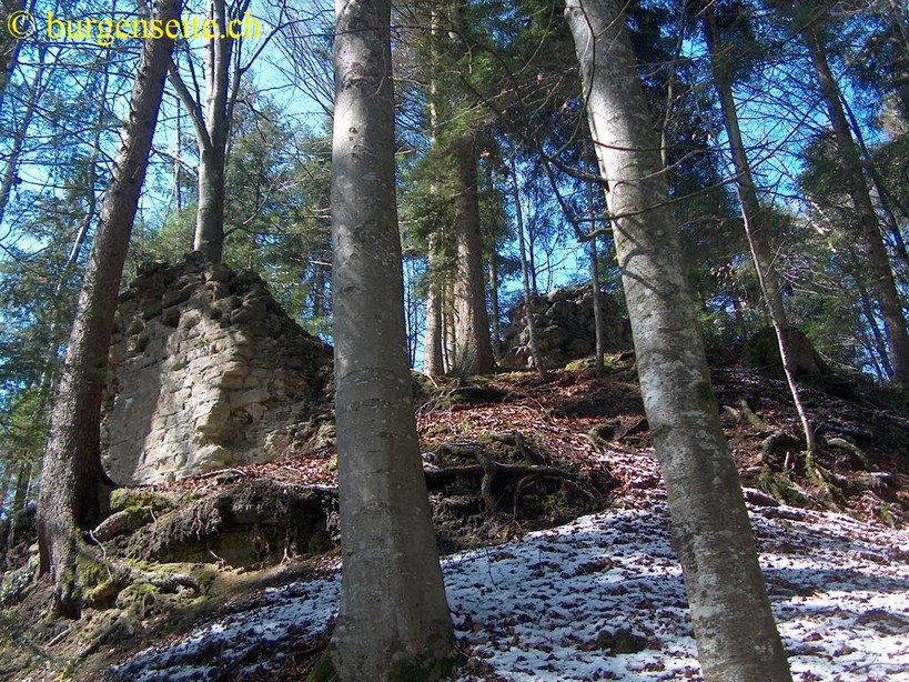 Ruine Riedberg