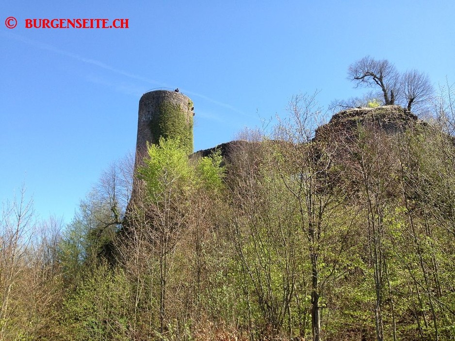 Ruine Sausenburg