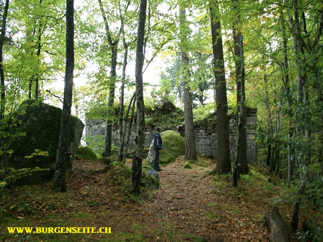 Ruine-Schadburg–1- Ruine Schadburg