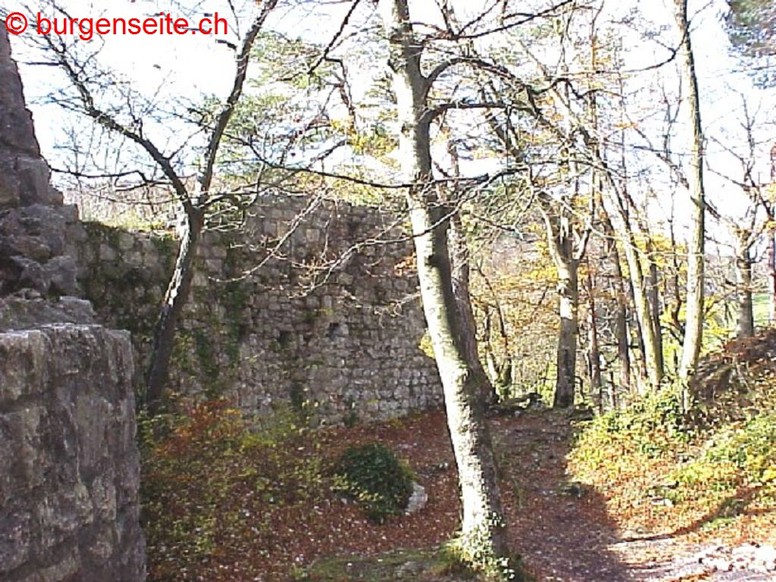 Ruine Schalberg