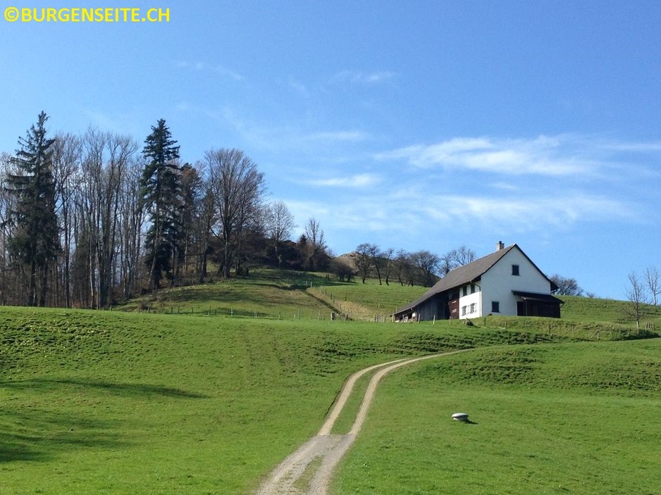 Ruine Schauenberg