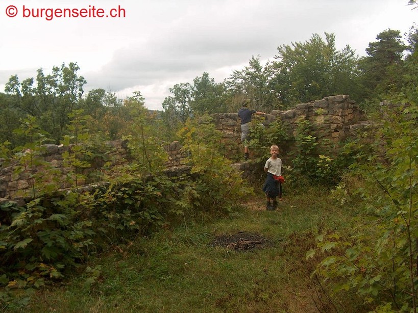 Ruine Scheidegg