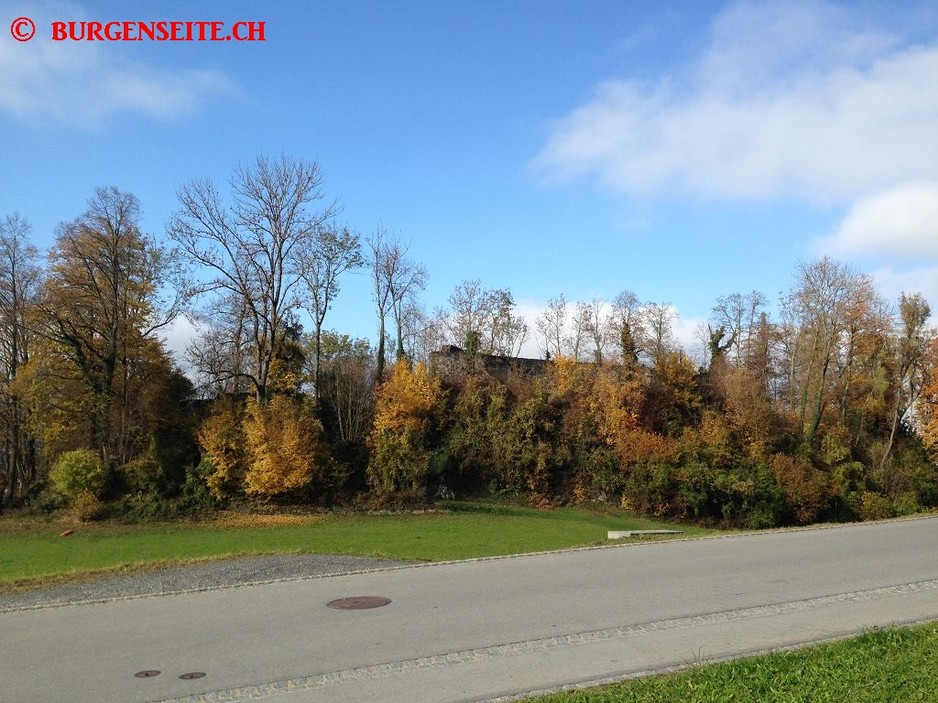 Ruine Schellenberg, Untere