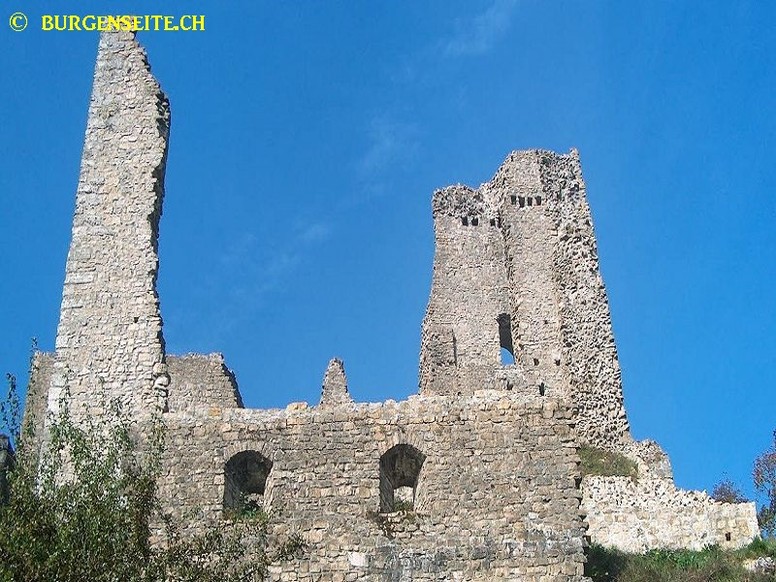 Ruine Schenkenberg