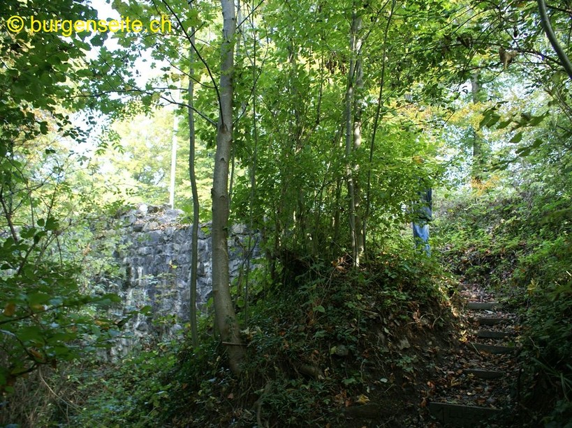 Ruine-Schenkon–6- Ruine Schenkon