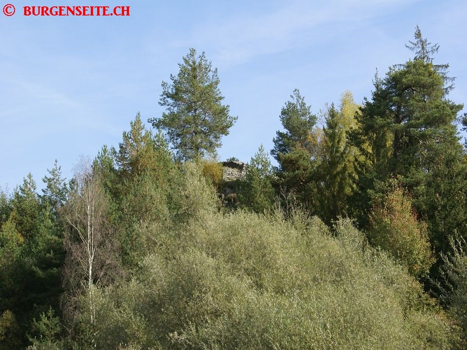 Ruine Schiedberg