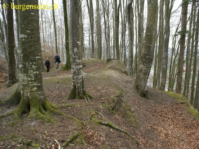 Ruine Schnabelburg