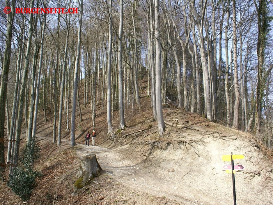 Ruine Schnabelburg