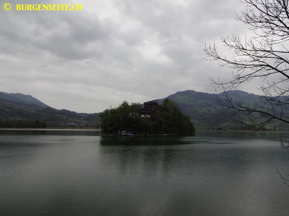 Ruine-Schwanau–3- Ruine Schwanau